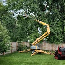 Grass Overseeding in Ogdensburg, NJ